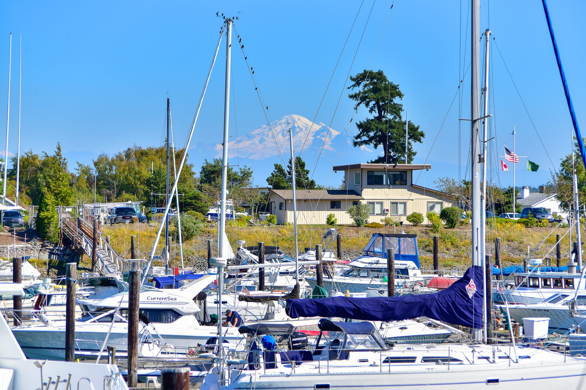 Bbvcc Marina – Birch Bay Village Community Club